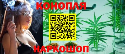 сатива Малгобек