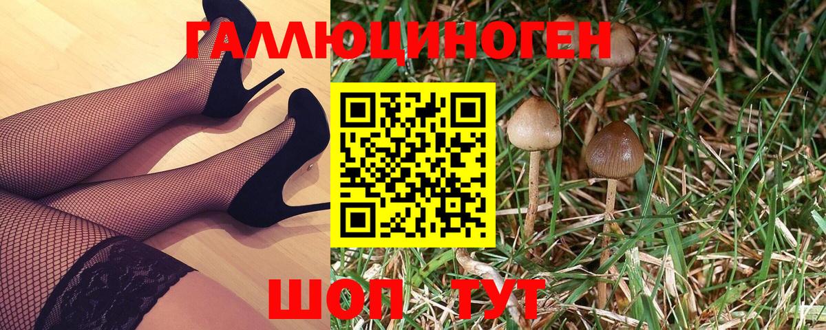 Псилоцибиновые грибы мицелий Уварово