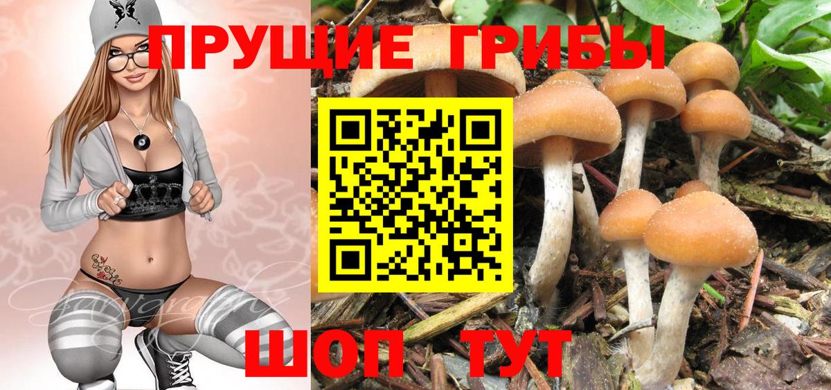 Галлюциногенные грибы Psilocybine cubensis  Вход с VPN  Уварово 